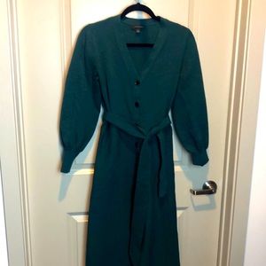 Beautiful green Ann Taylor womens dress size small
